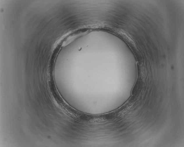 X0000075840536200610151547