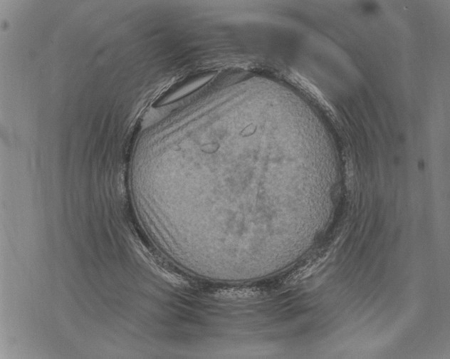 X0000075840537200610151547