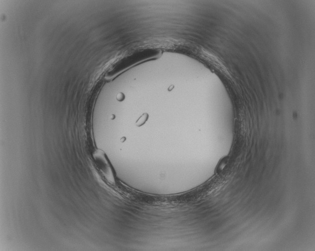 X0000075840538200610151547