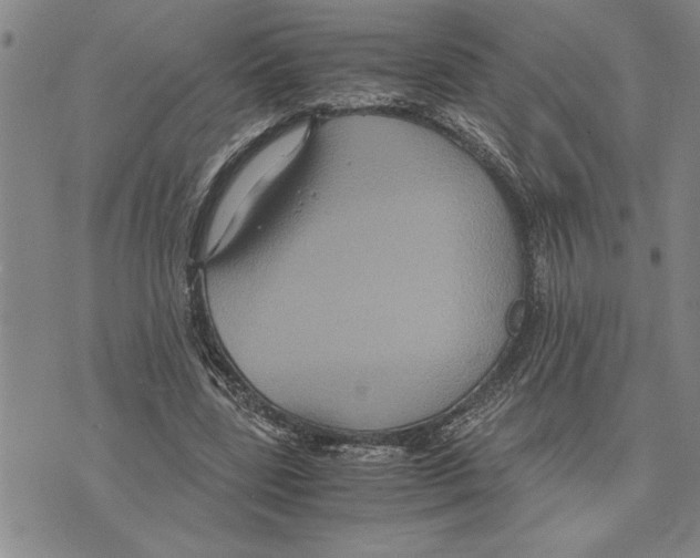 X0000075840539200610151547