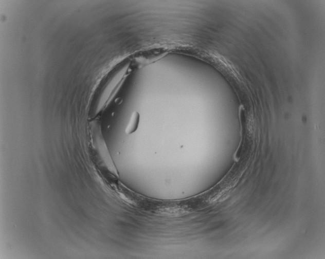 X0000075840540200610151547