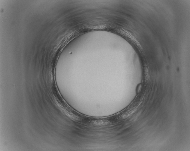 X0000075840541200610151547