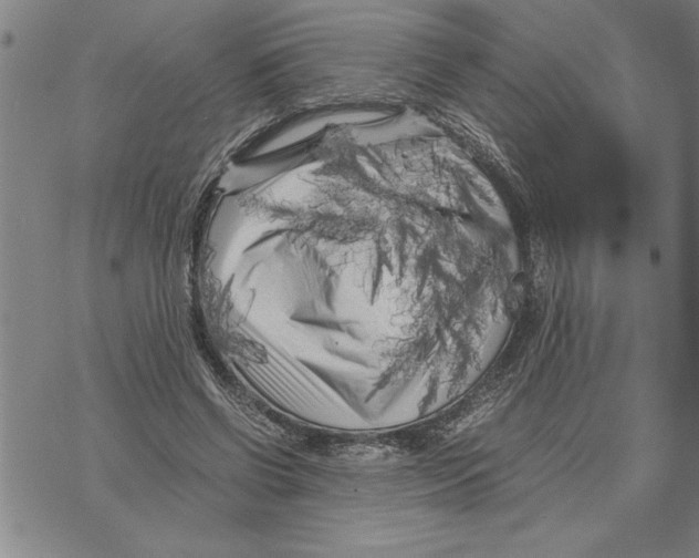 X0000075840542200610151547