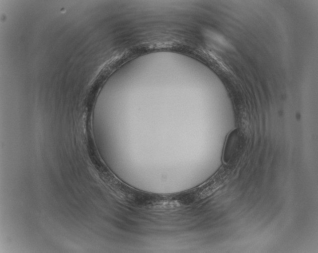 X0000075840543200610151547