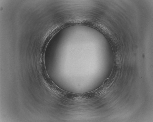 X0000075840544200610151547