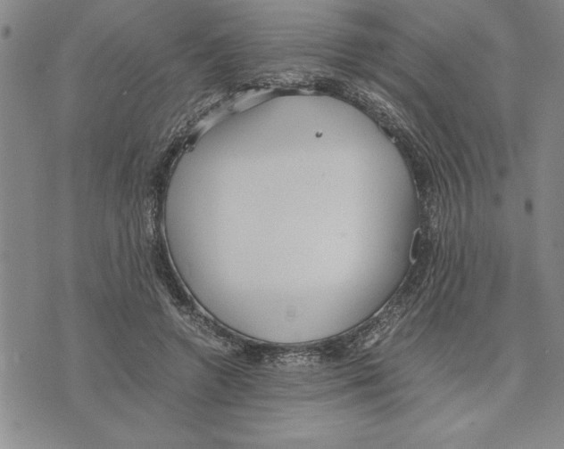 X0000075840546200610151547