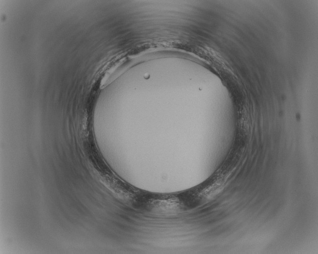 X0000075840548200610151547