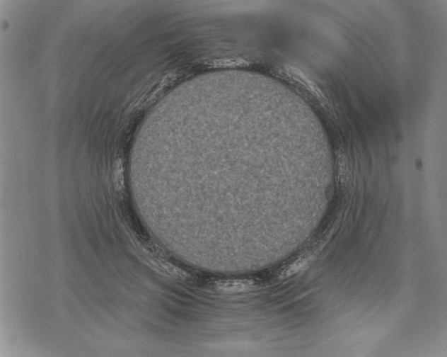 X0000075840549200610151547