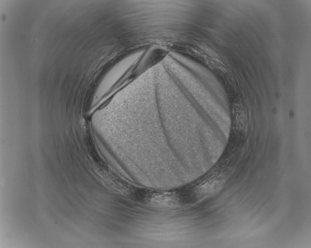 X0000075840550200610151547