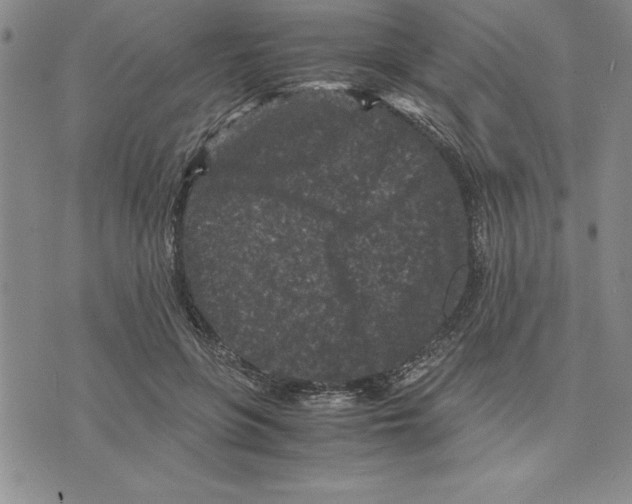 X0000075840551200610151548