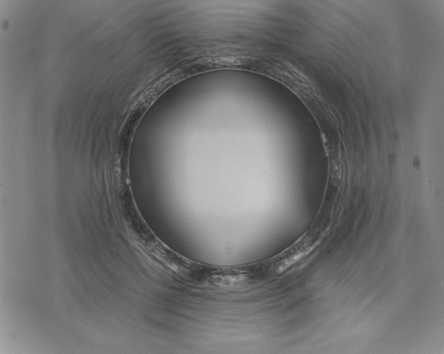 X0000075840552200610151548