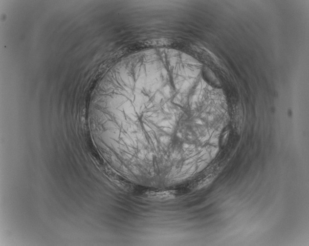 X0000075840553200610151548