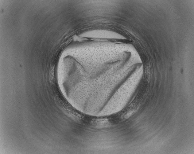 X0000075840554200610151548