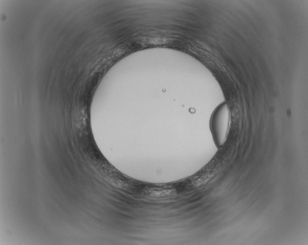 X0000075840555200610151548