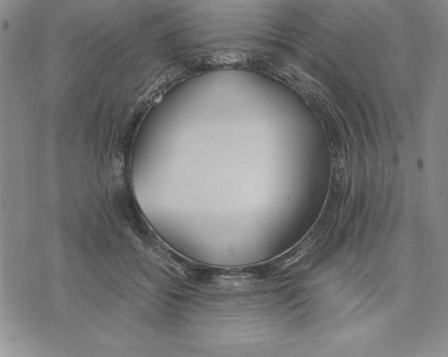 X0000075840556200610151548