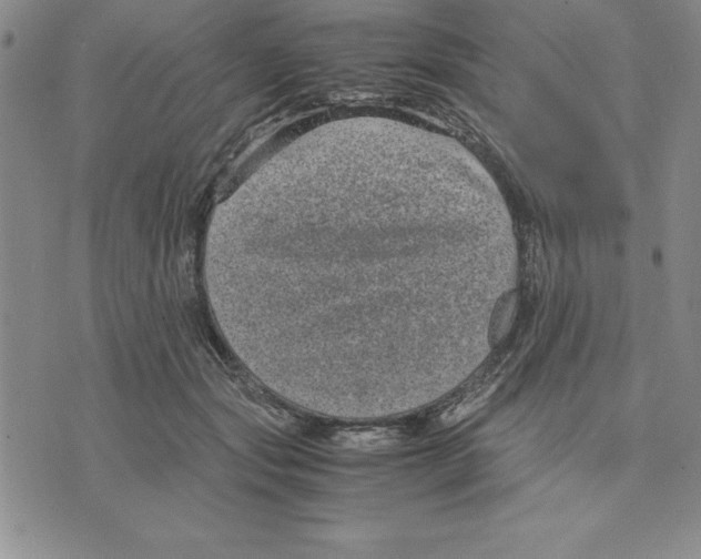 X0000075840557200610151548