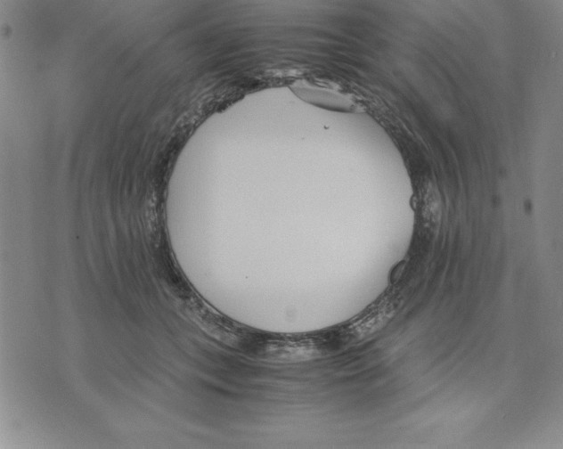 X0000075840559200610151548