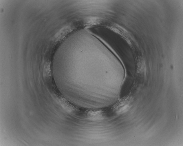 X0000075840560200610151548