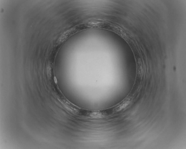 X0000075840562200610151548