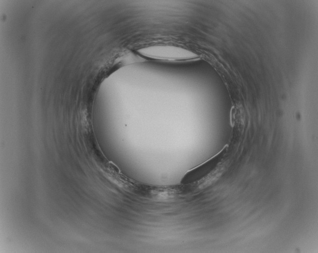 X0000075840564200610151548