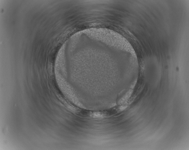 X0000075840565200610151548