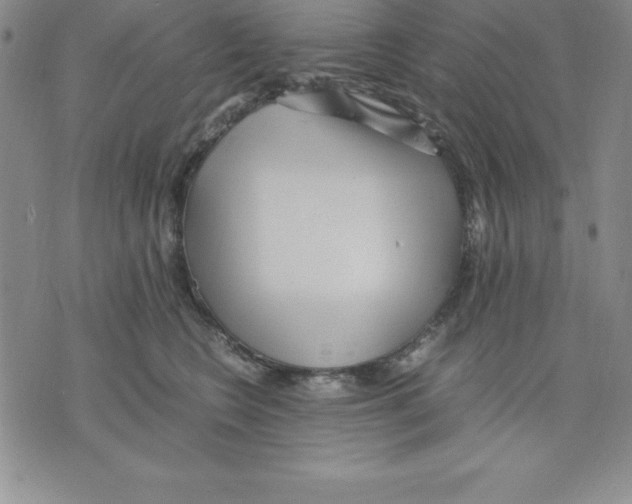 X0000075840566200610151548