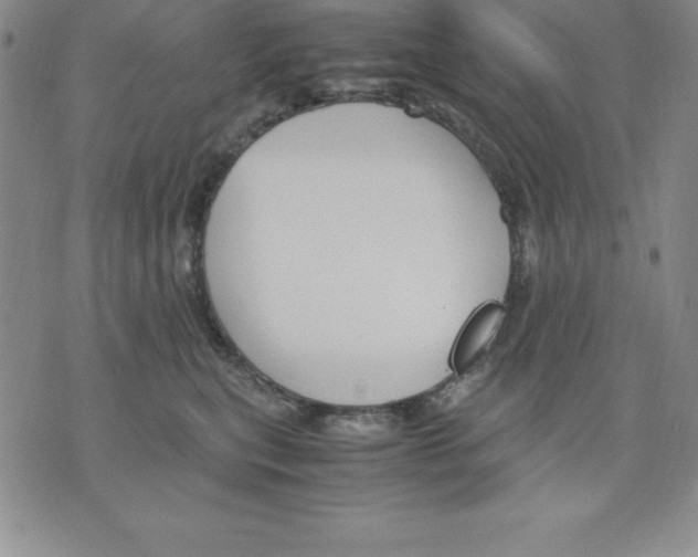 X0000075840567200610151548