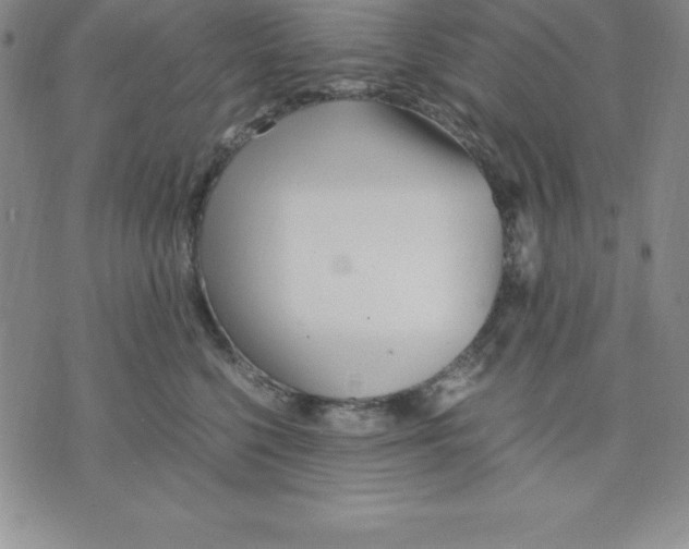 X0000075840568200610151548