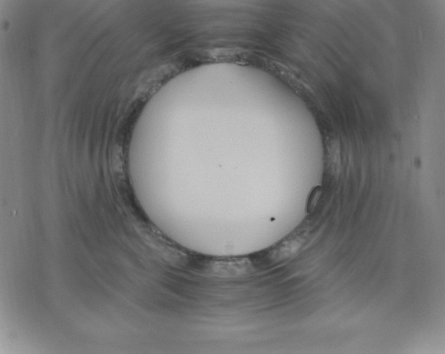 X0000075840571200610151548