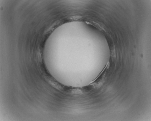 X0000075840572200610151548