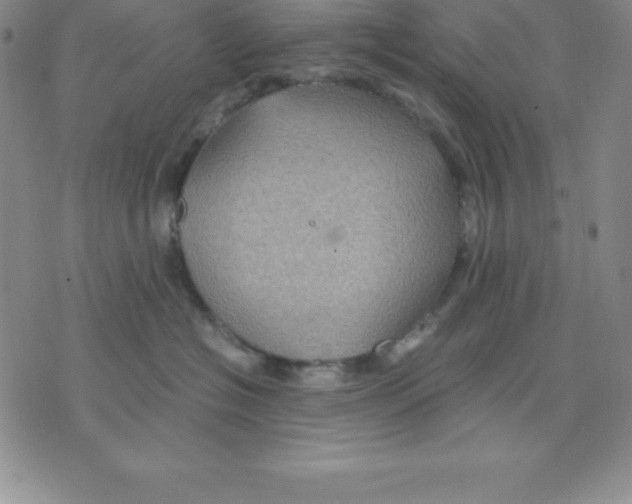 X0000075840574200610151548