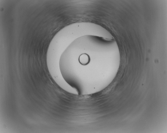 X0000075840576200610151548