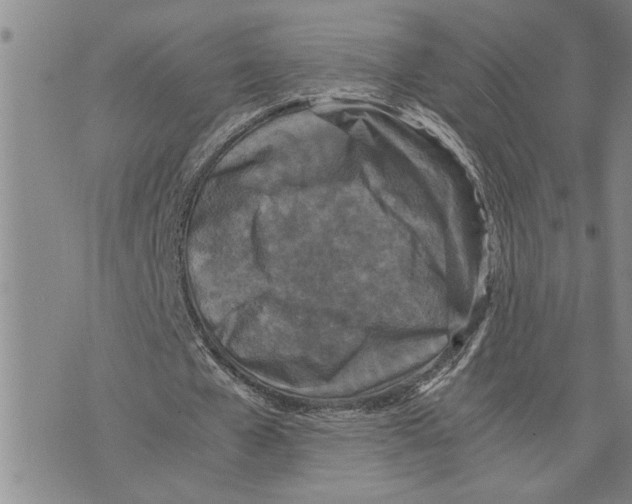 X0000075840577200610151547