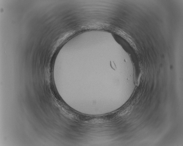 X0000075840578200610151547