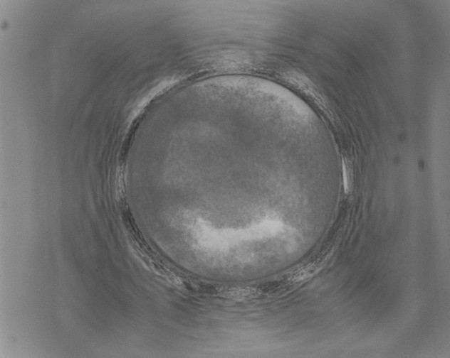 X0000075840579200610151547