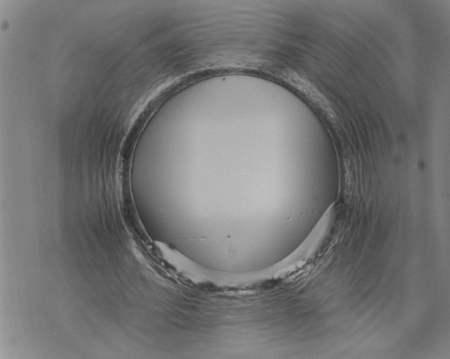 X0000075840580200610151547