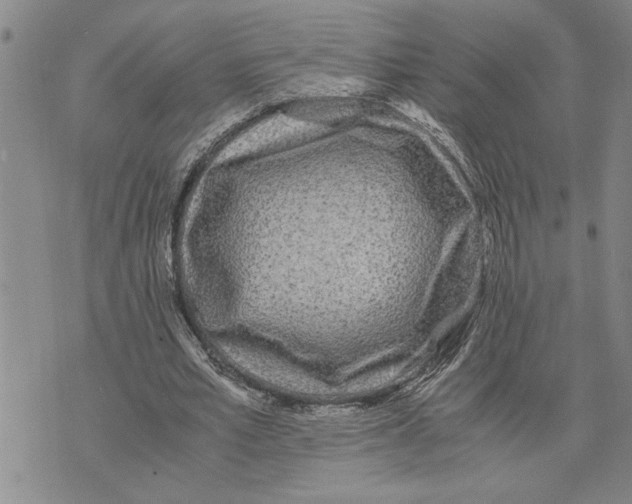 X0000075840581200610151547