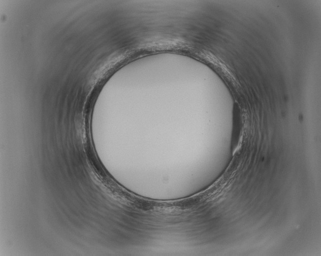 X0000075840582200610151547