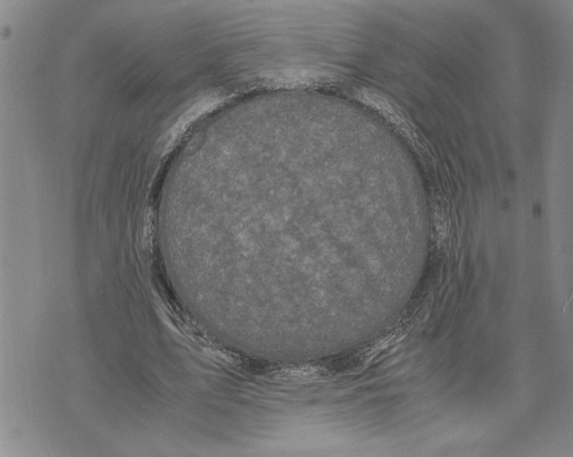 X0000075840583200610151547