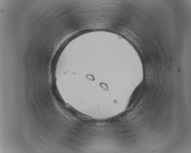 X0000075840584200610151547