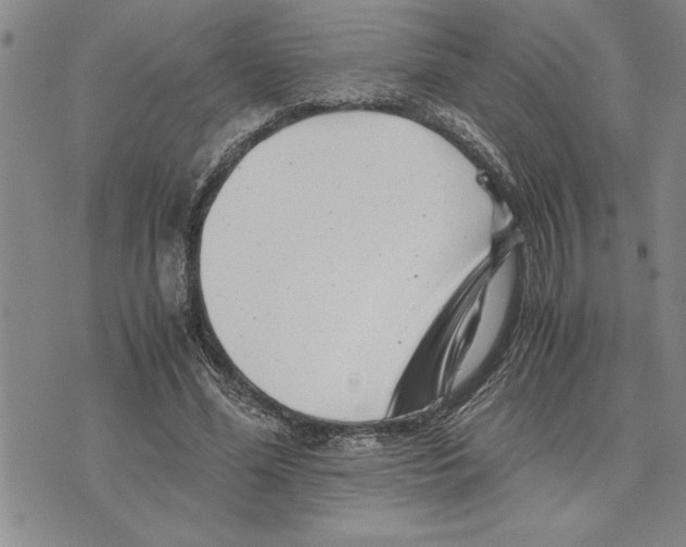 X0000075840588200610151547