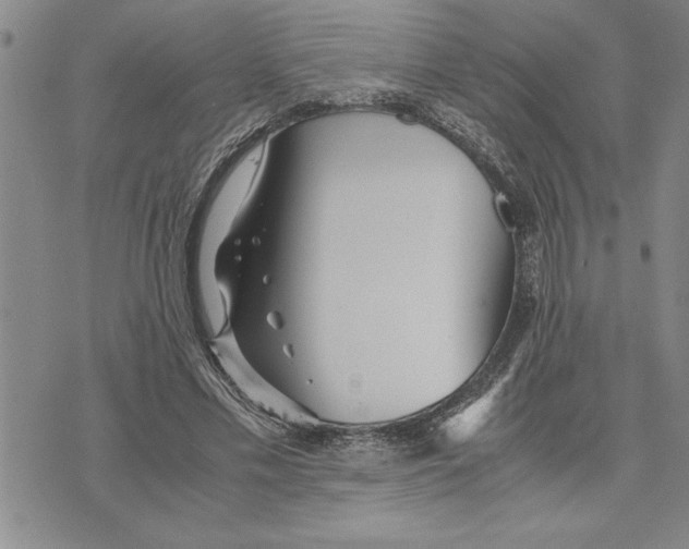 X0000075840589200610151547