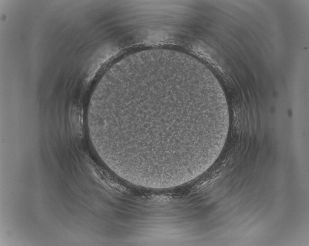 X0000075840592200610151547