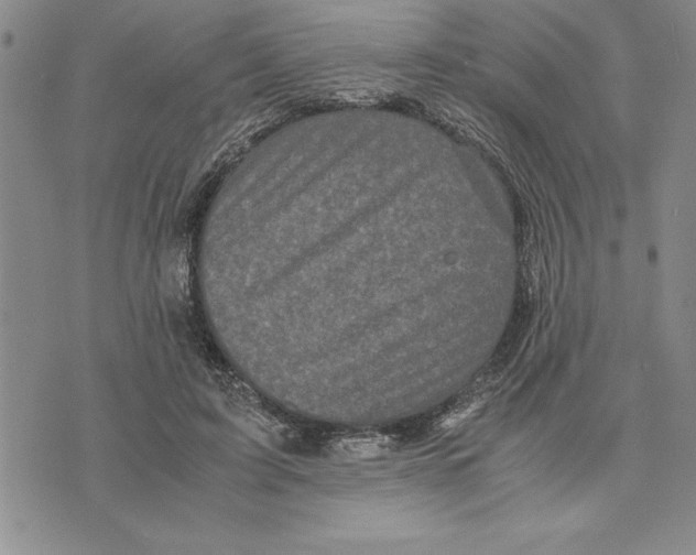 X0000075840595200610151547