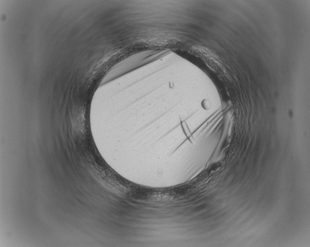 X0000075840596200610151547