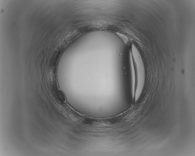 X0000075840597200610151547