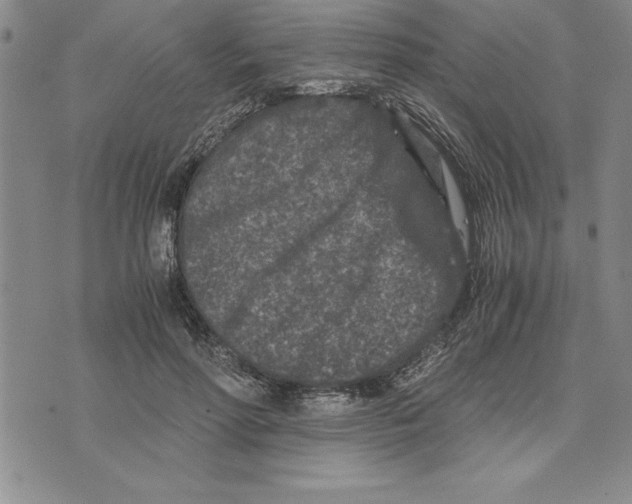 X0000075840598200610151547