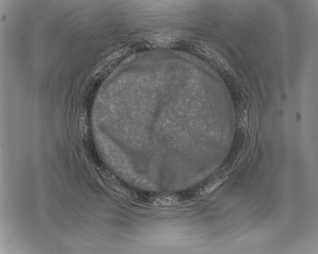 X0000075840599200610151547