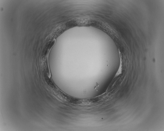 X0000075840601200610151547