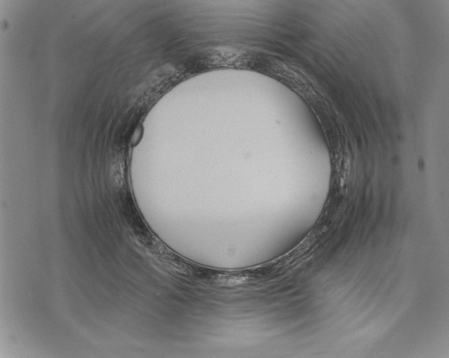 X0000075840602200610151547